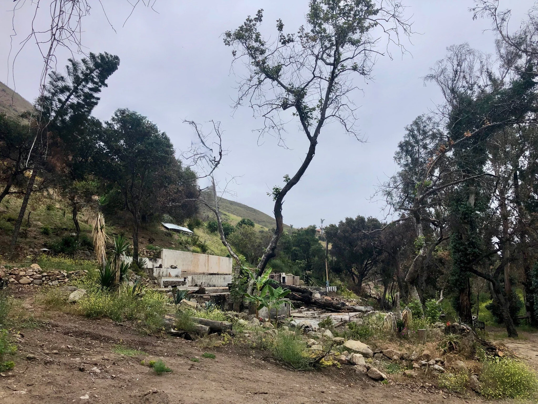 31847 PCH hillside site after the Malibu fire