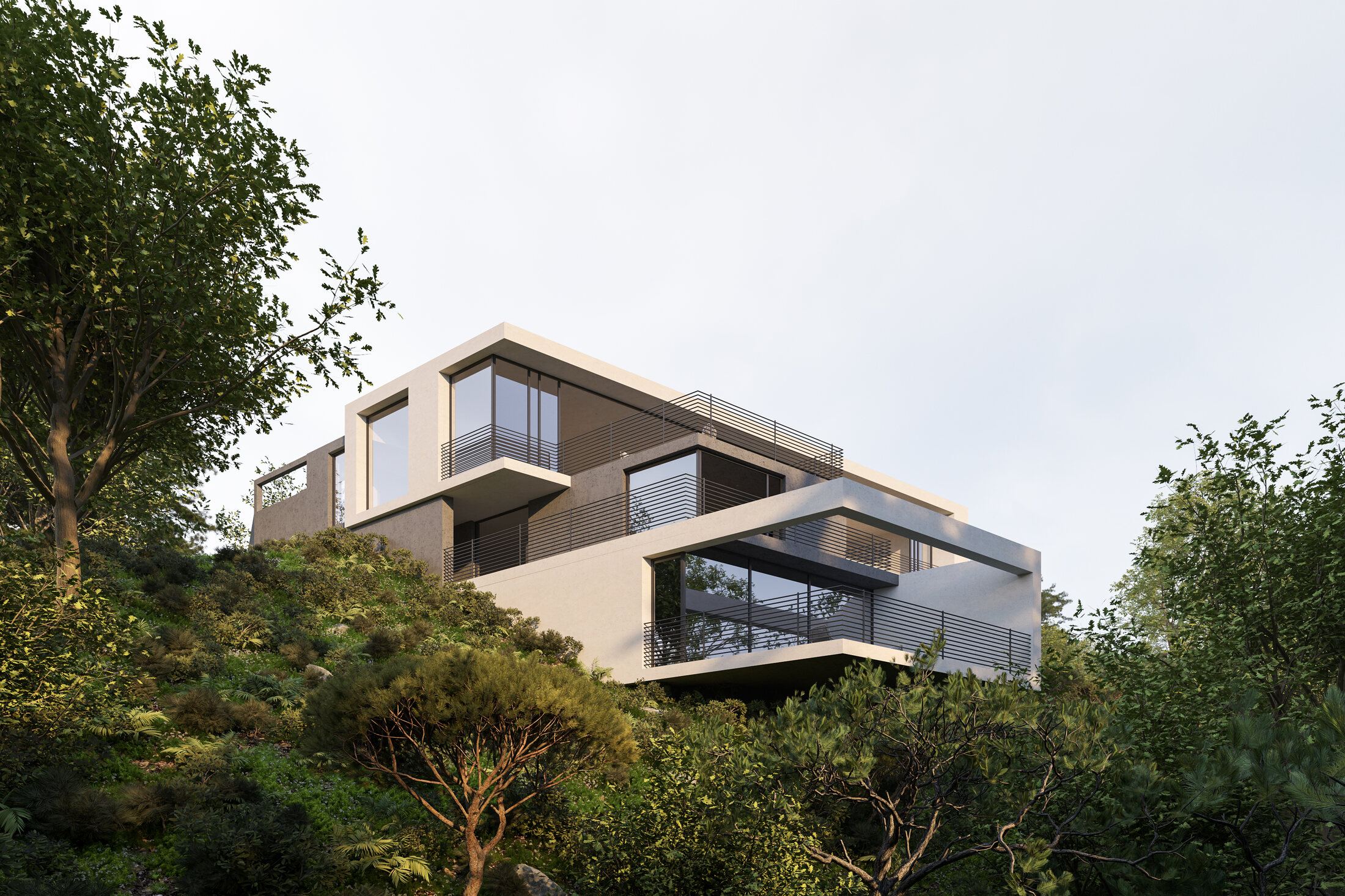 Oblique hillside view through mature landscape