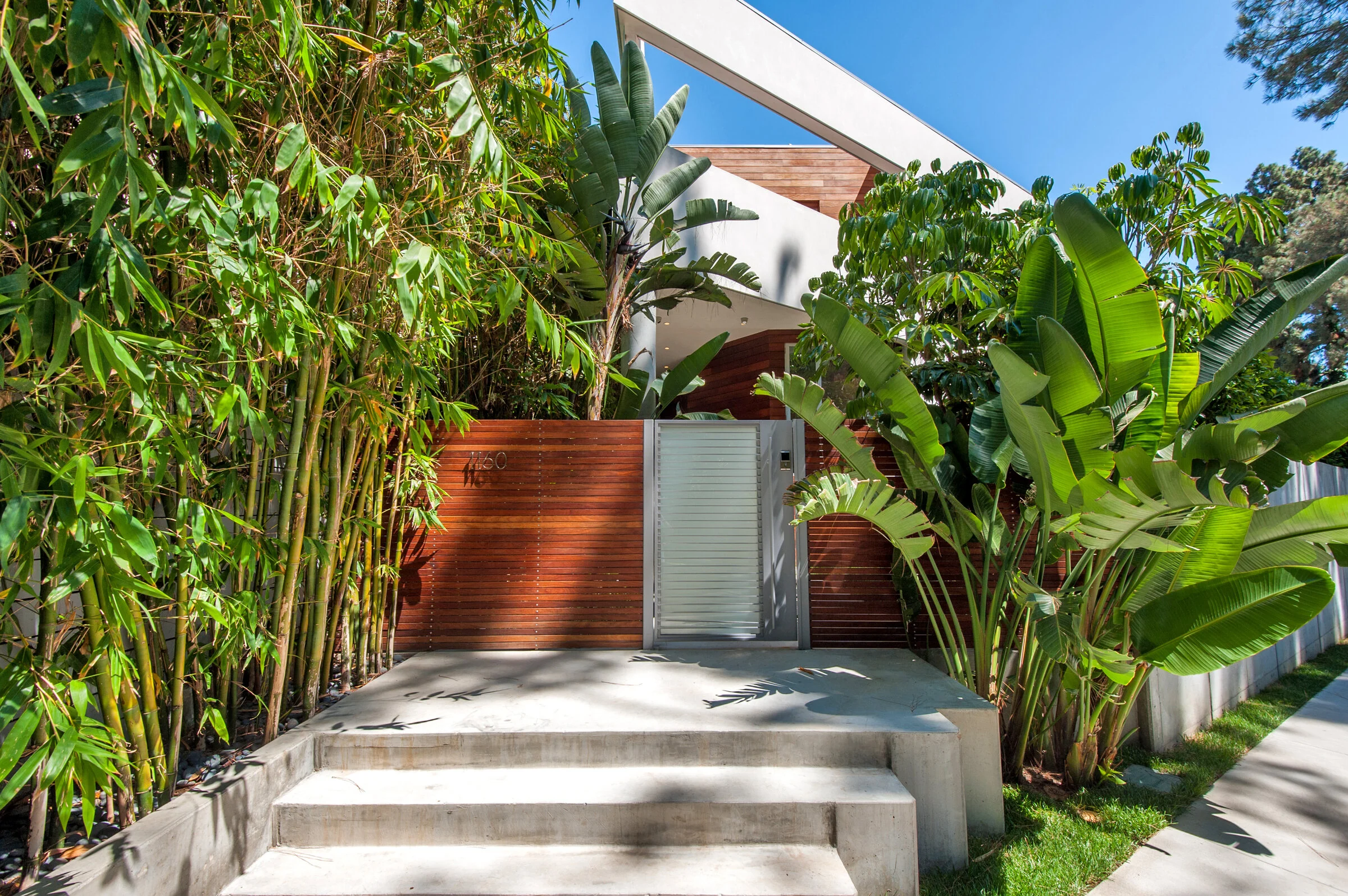 Moving through dense landscape toward the entrance