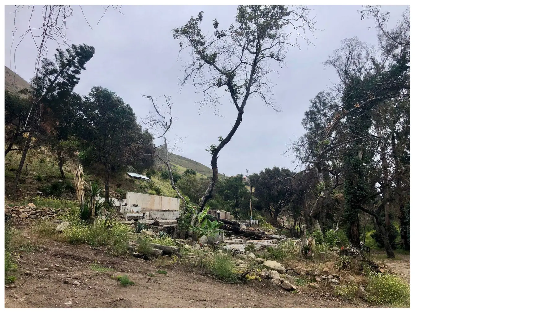 Fire-damaged Malibu hillside site